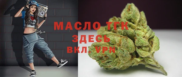 СК Бородино