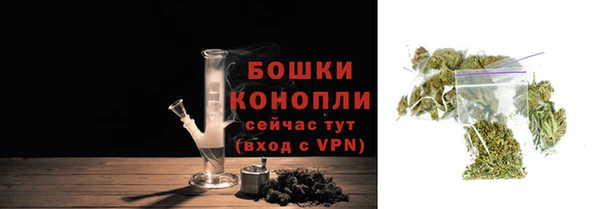 СК Бородино