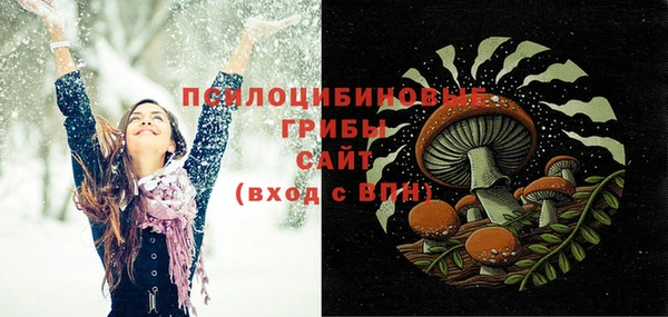 СК Бородино