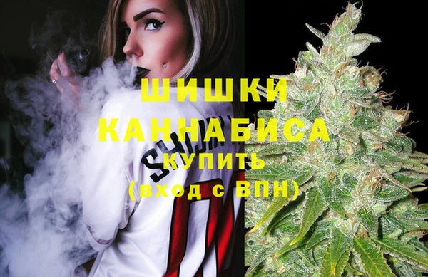СК Бородино